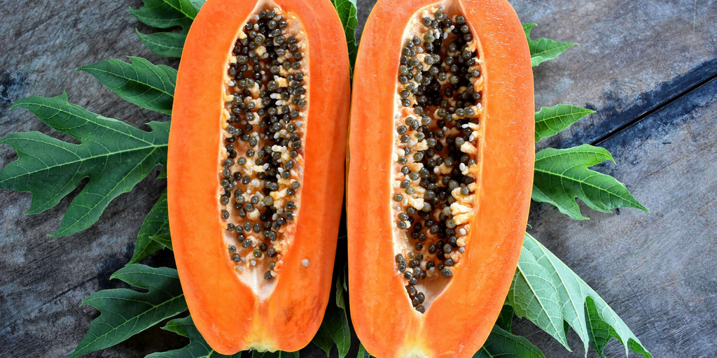 Fermented Papaya - organic ingredients 